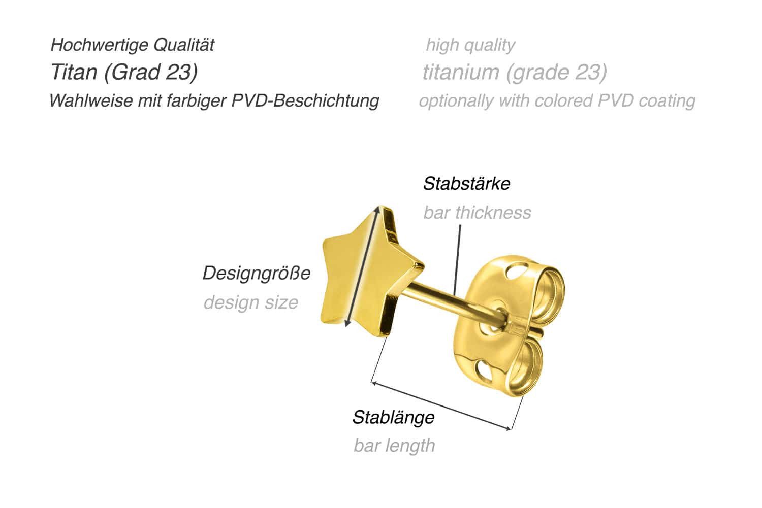 PIERCINGLINE Piercing-Set Titan Ohrstecker STERN (Ohrstecker günstig online kaufen
