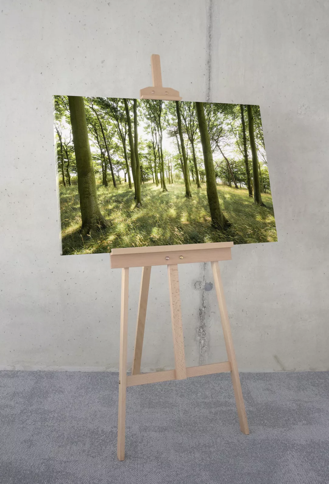 Komar Leinwandbild "Keilrahmenbild - Dänische Buchen - Größe 90 x 60 cm", B günstig online kaufen