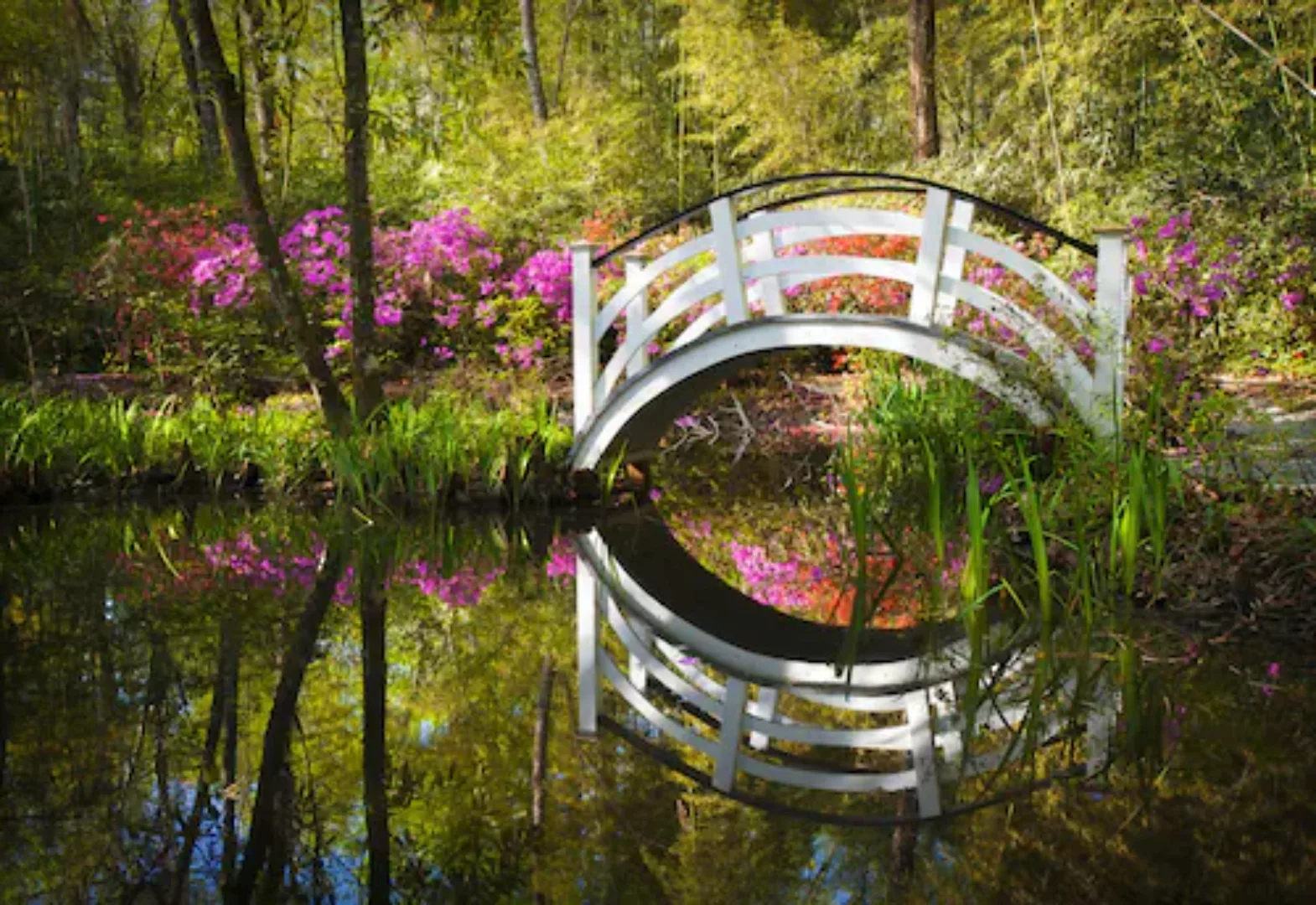 Papermoon Fototapete »GARTEN-NATUR LANDSCHAFT WALD BÄUME BLUMEN BRÜCKE SEE« günstig online kaufen