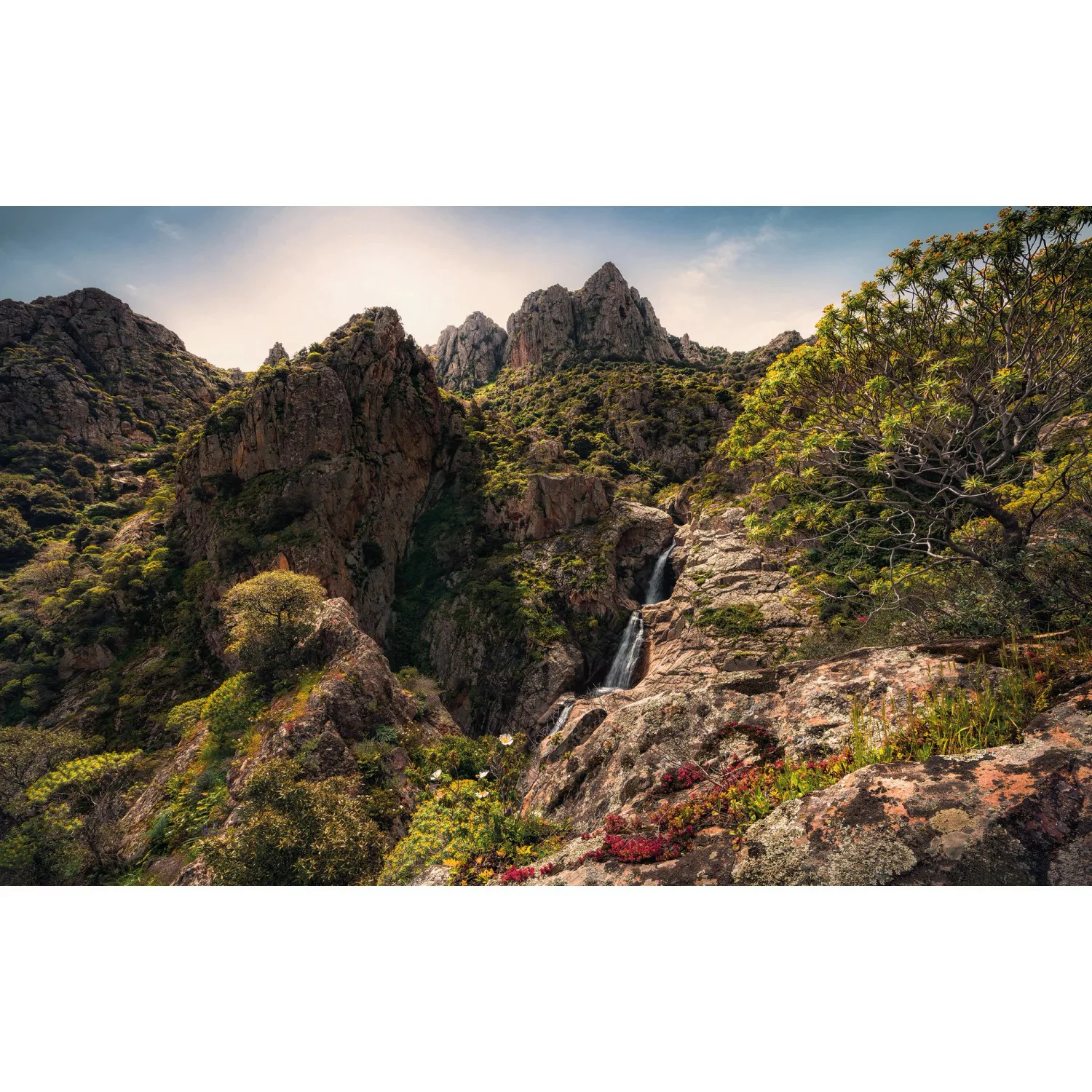 KOMAR Vlies Fototapete - Rainbow Lands - Größe 450 x 280 cm mehrfarbig günstig online kaufen