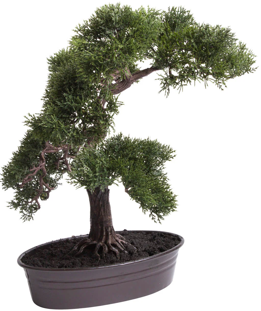 Botanic-Haus Kunstbonsai "Cedern Bonsai" günstig online kaufen