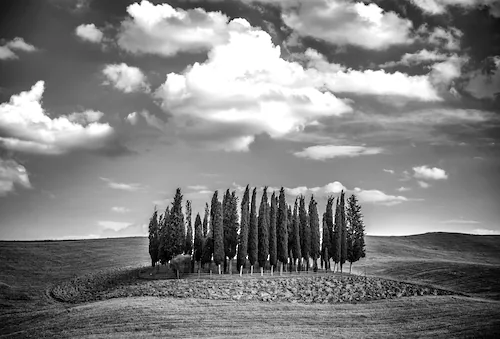 Papermoon Fototapete »Landschaft Schwarz & Weiß« günstig online kaufen