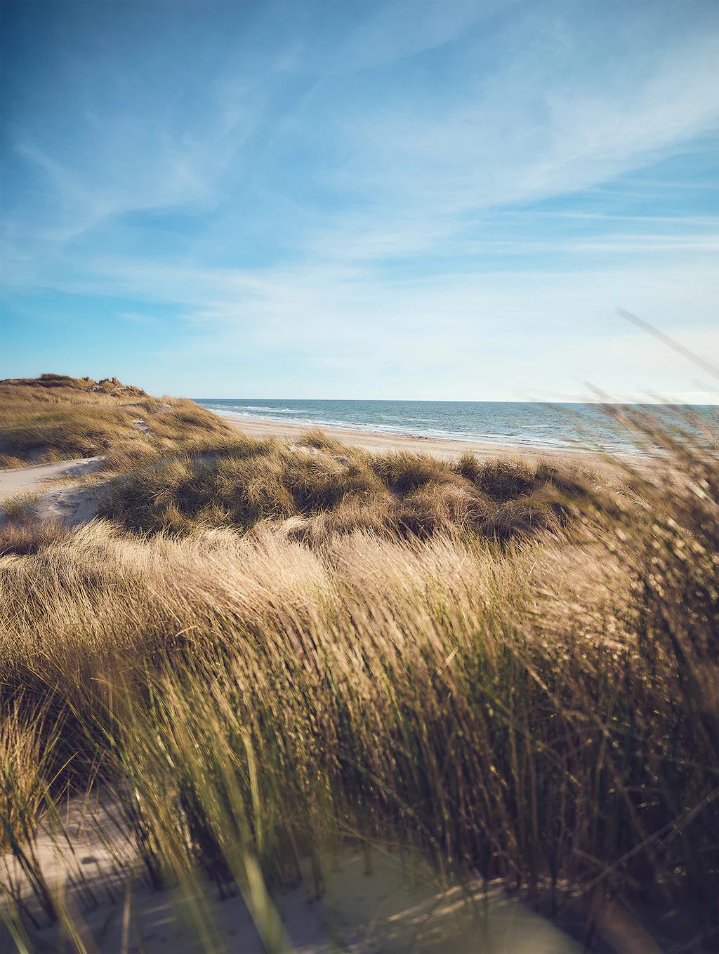 Bönninghoff Leinwandbild, Düne-Strand, (1 St.), BxH: 46x61 cm günstig online kaufen