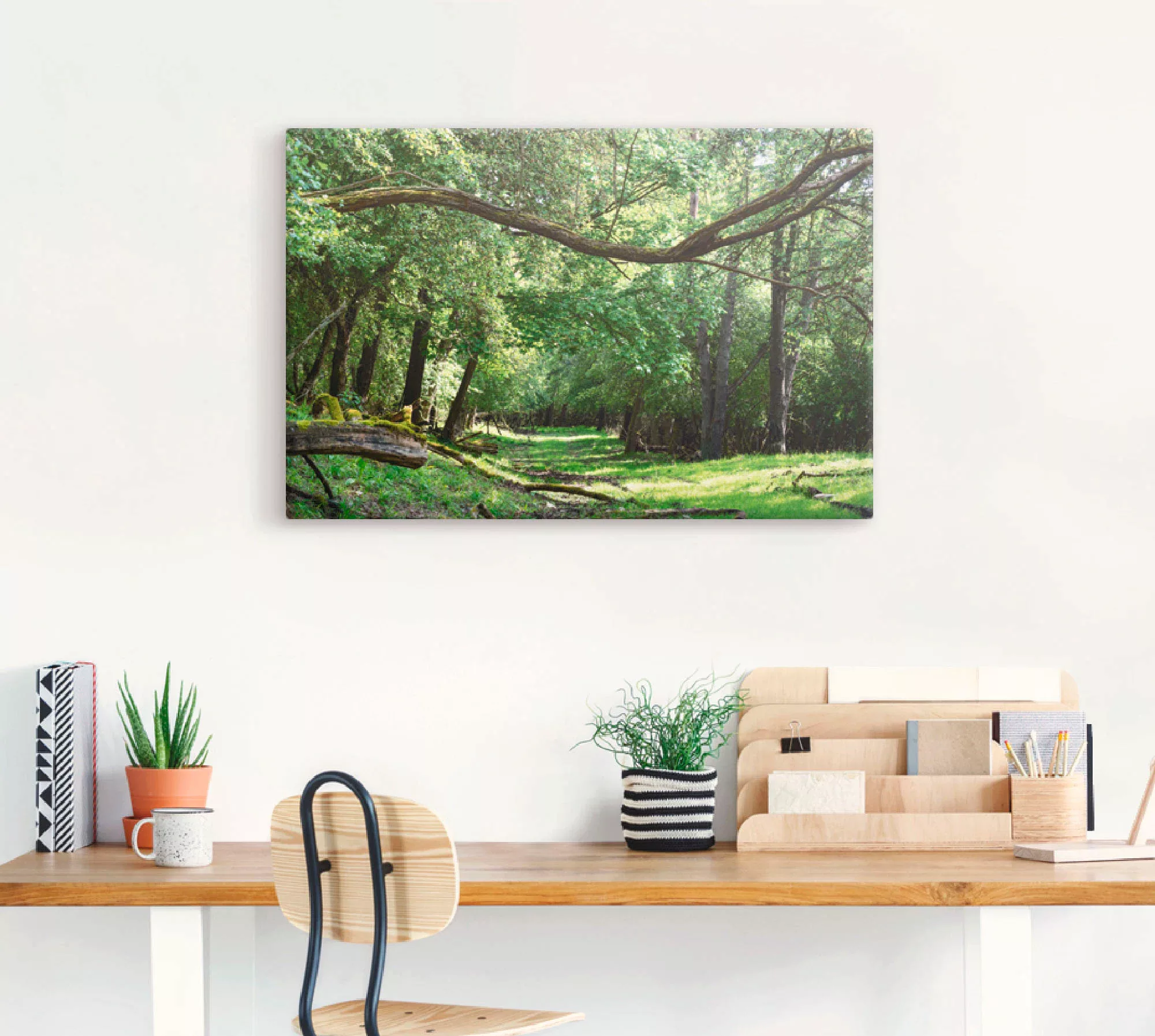 Artland Wandbild »Auf grünem Weg durch den grünen Wald«, Wald, (1 St.), als günstig online kaufen