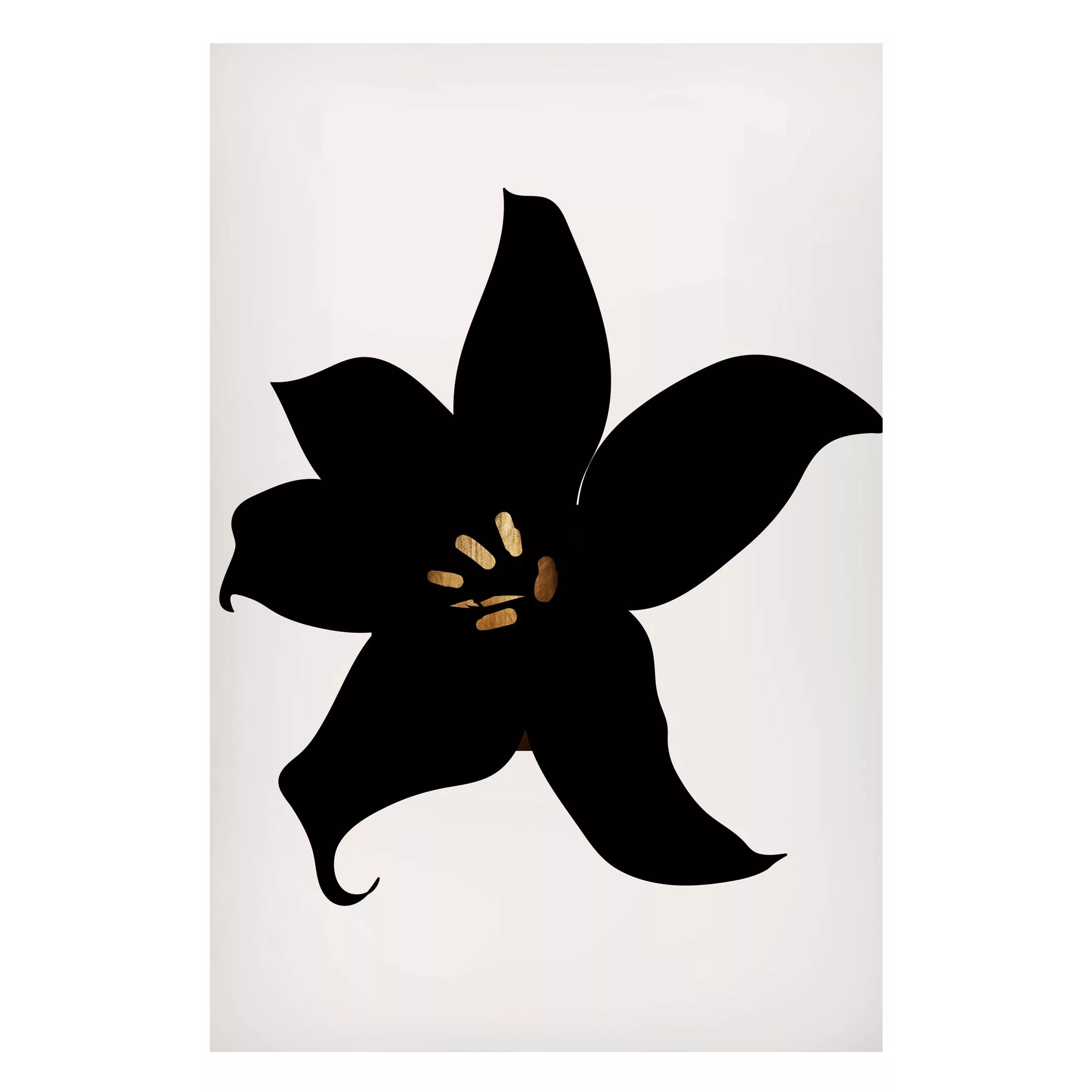 Magnettafel Grafische Pflanzenwelt - Orchidee Schwarz und Gold günstig online kaufen