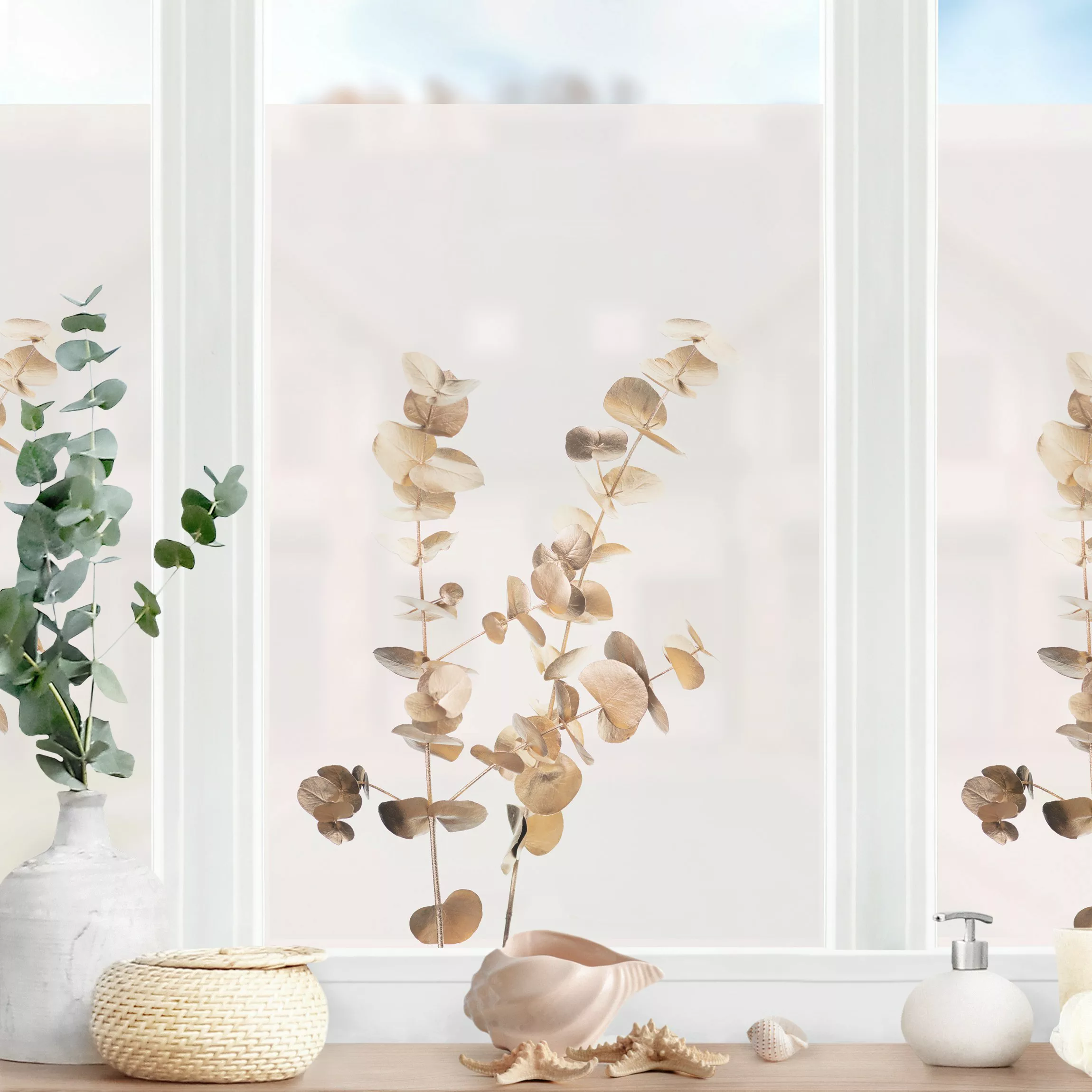 Fensterfolie Goldene Eukalyptuszweige günstig online kaufen