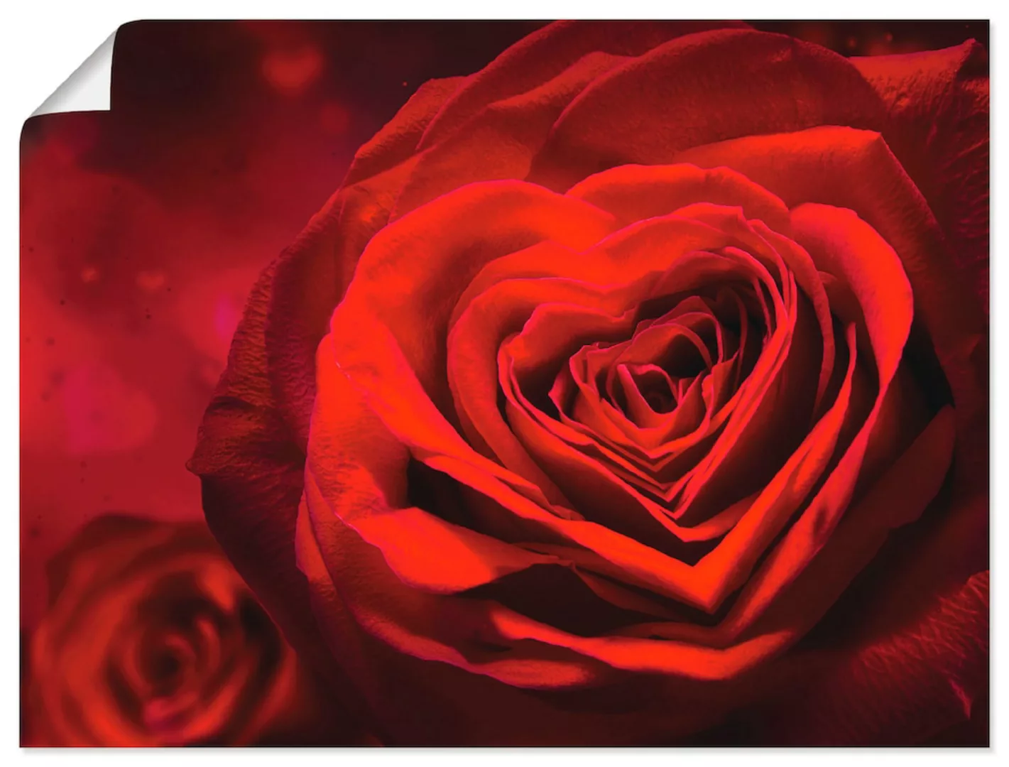Artland Wandbild »Valentinseinladung mit Herzen und Rosen«, Blumen, (1 St.) günstig online kaufen
