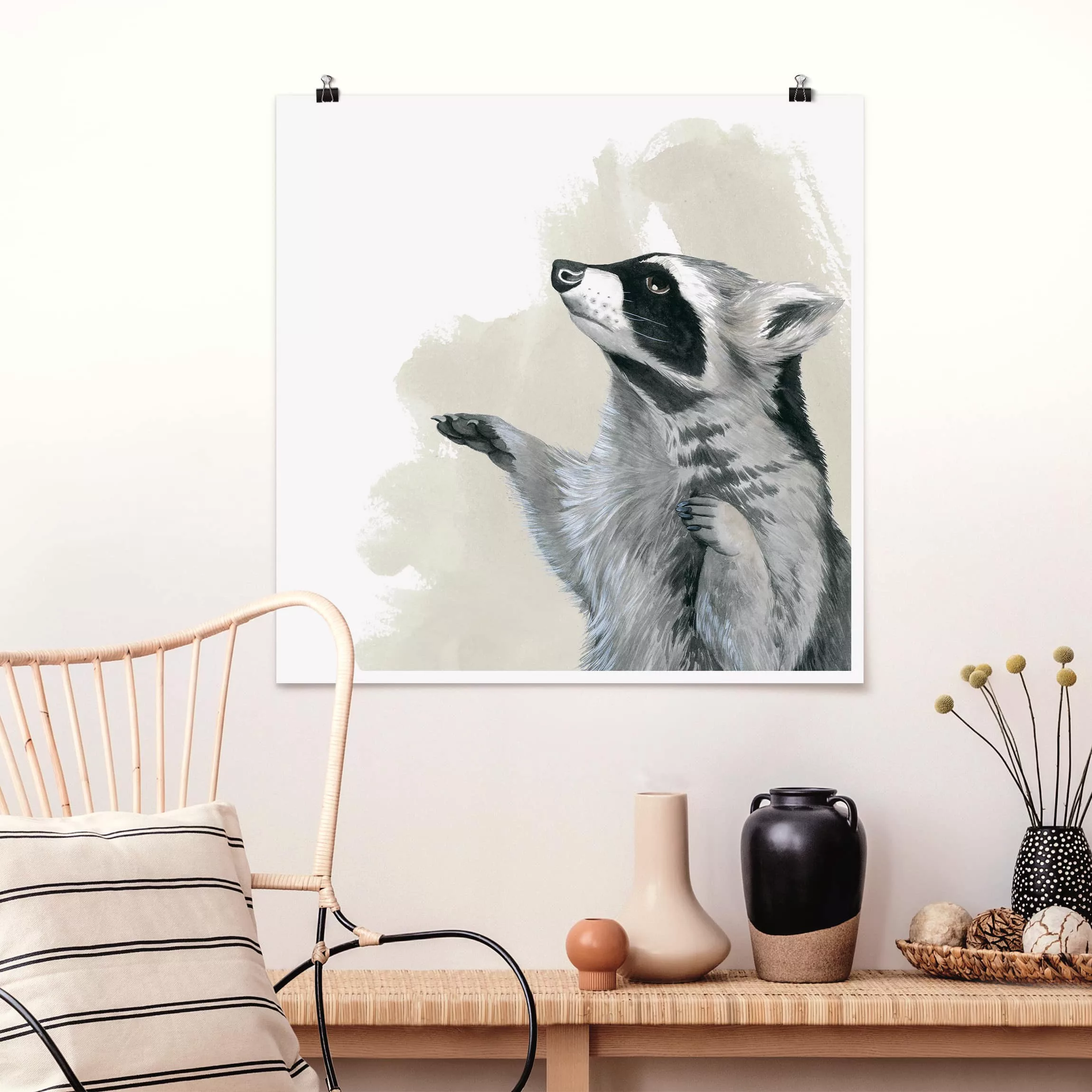 Poster Tiere - Quadrat Waldfreunde - Waschbär günstig online kaufen