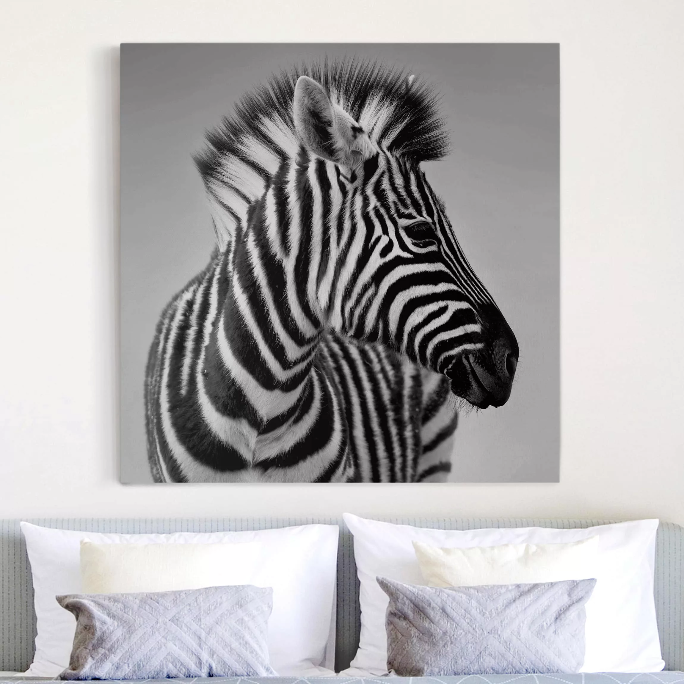 Leinwandbild Tiere - Quadrat Zebra Baby Portrait II günstig online kaufen