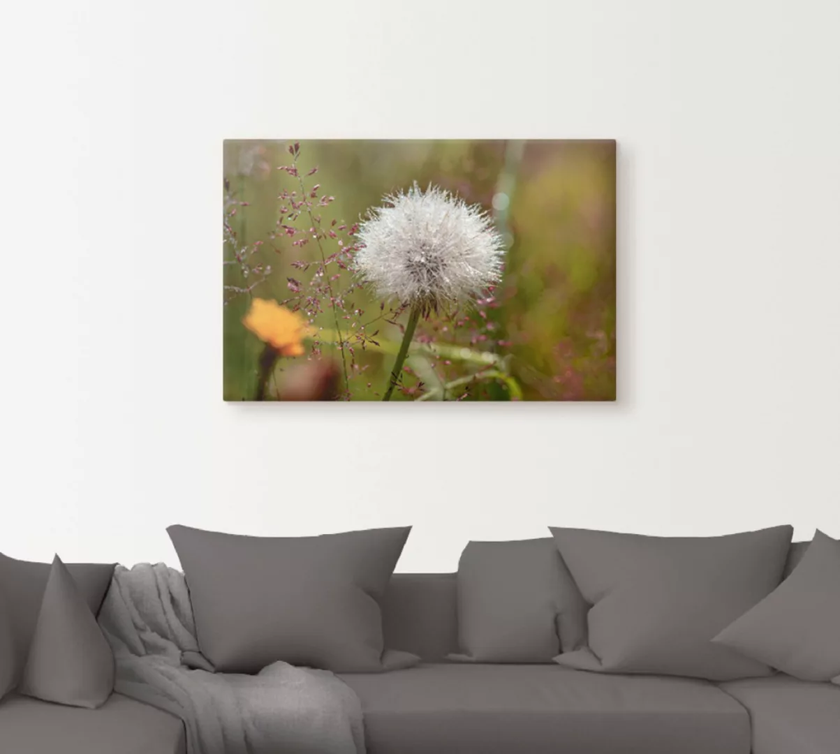 Artland Wandbild "Pusteblume im Blumenfeld", Blumen, (1 St.) günstig online kaufen
