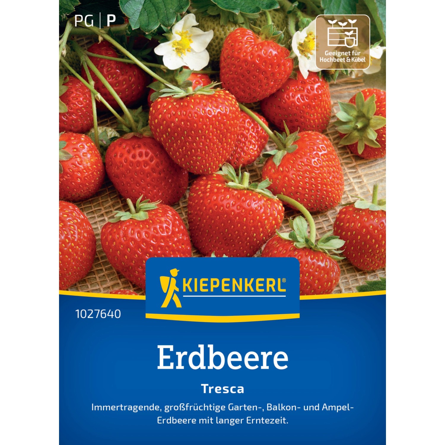 Kiepenkerl Erdbeeren Fresca günstig online kaufen