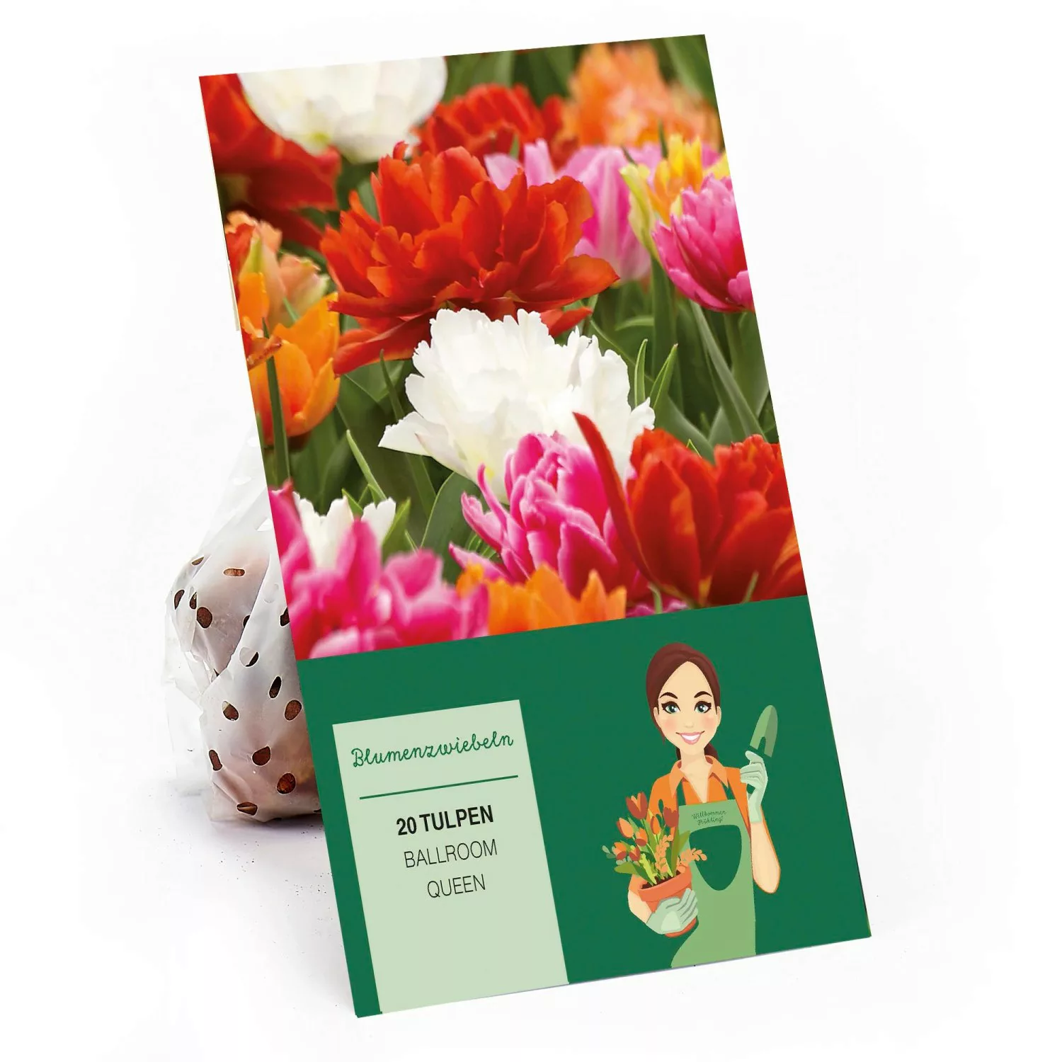 Tulpe Ballroom Queen Mischung 20 Stück Tulipa günstig online kaufen