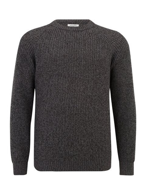 Jack & Jones Plus Rundhalspullover JJJONES (1-tlg) günstig online kaufen