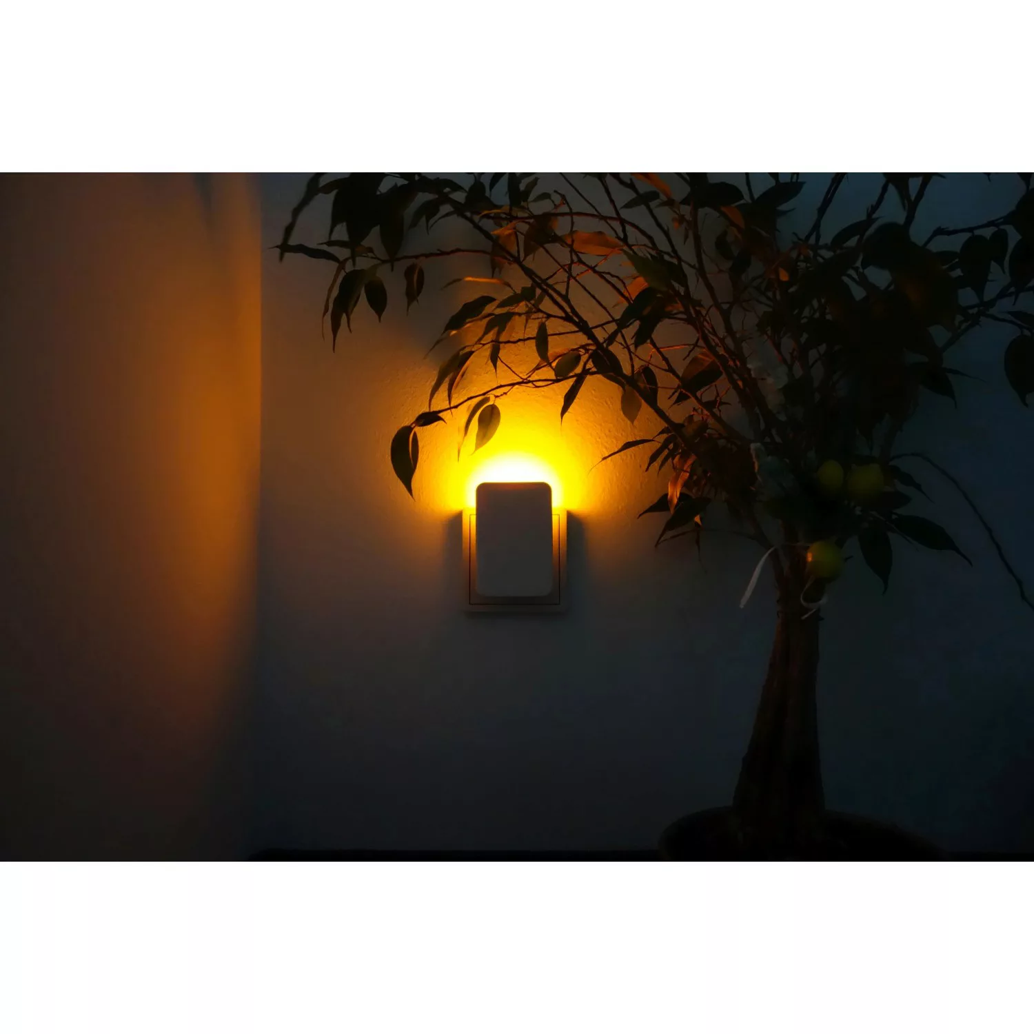 Müller-Licht LED-Nachtlicht Mizar Weiß mit Sensor günstig online kaufen