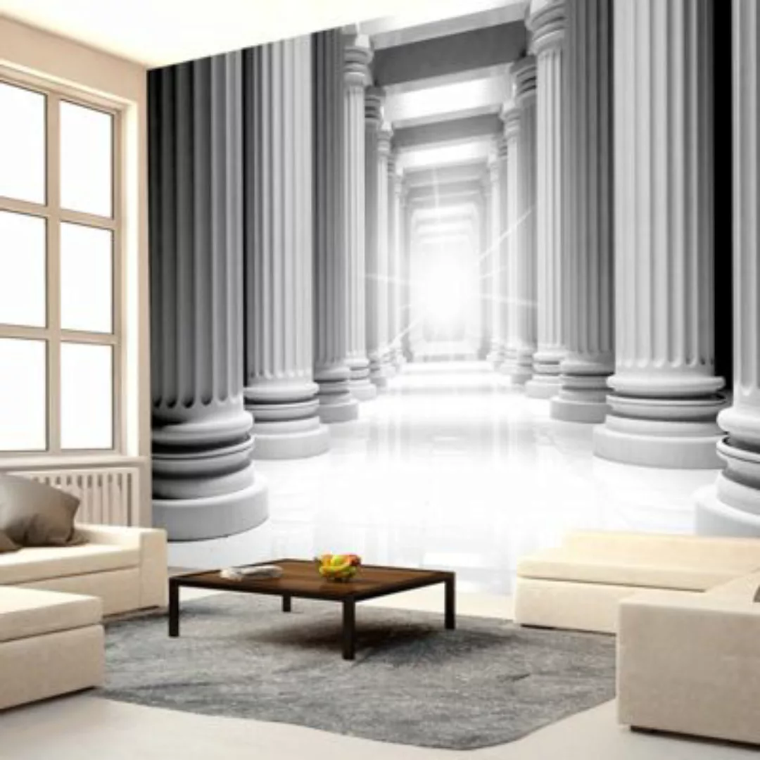 artgeist Fototapete Ancient parthenon grau Gr. 400 x 280 günstig online kaufen