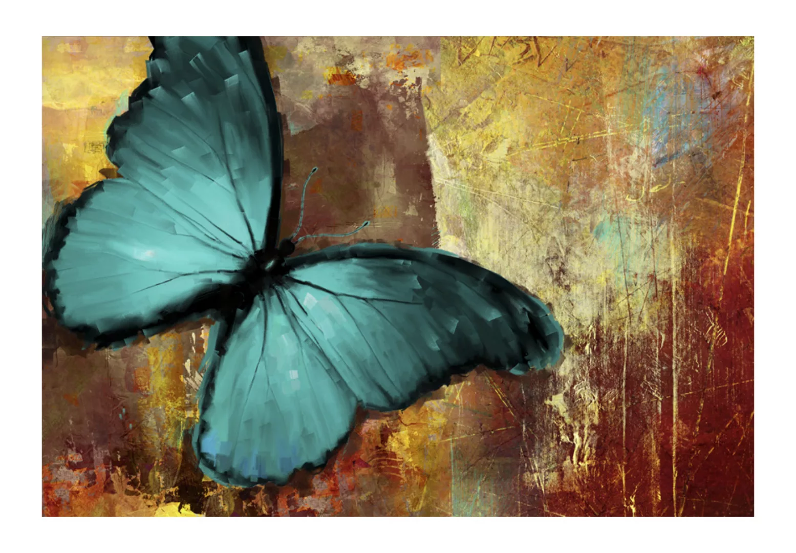 Fototapete - Painted Butterfly günstig online kaufen