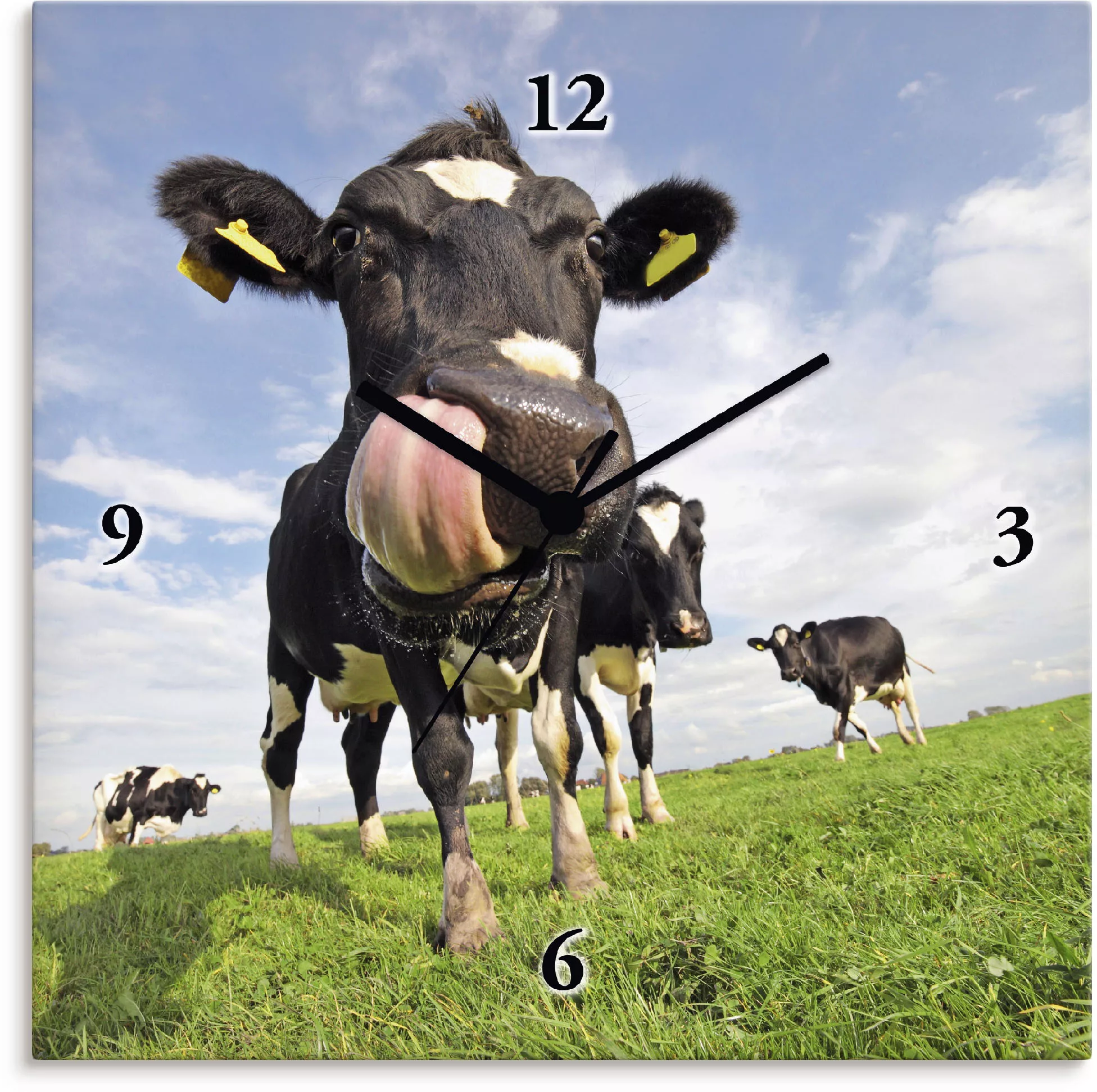 Artland Wanduhr »Holstein-Kuh mit gewaltiger Zunge«, wahlweise mit Quarz- o günstig online kaufen