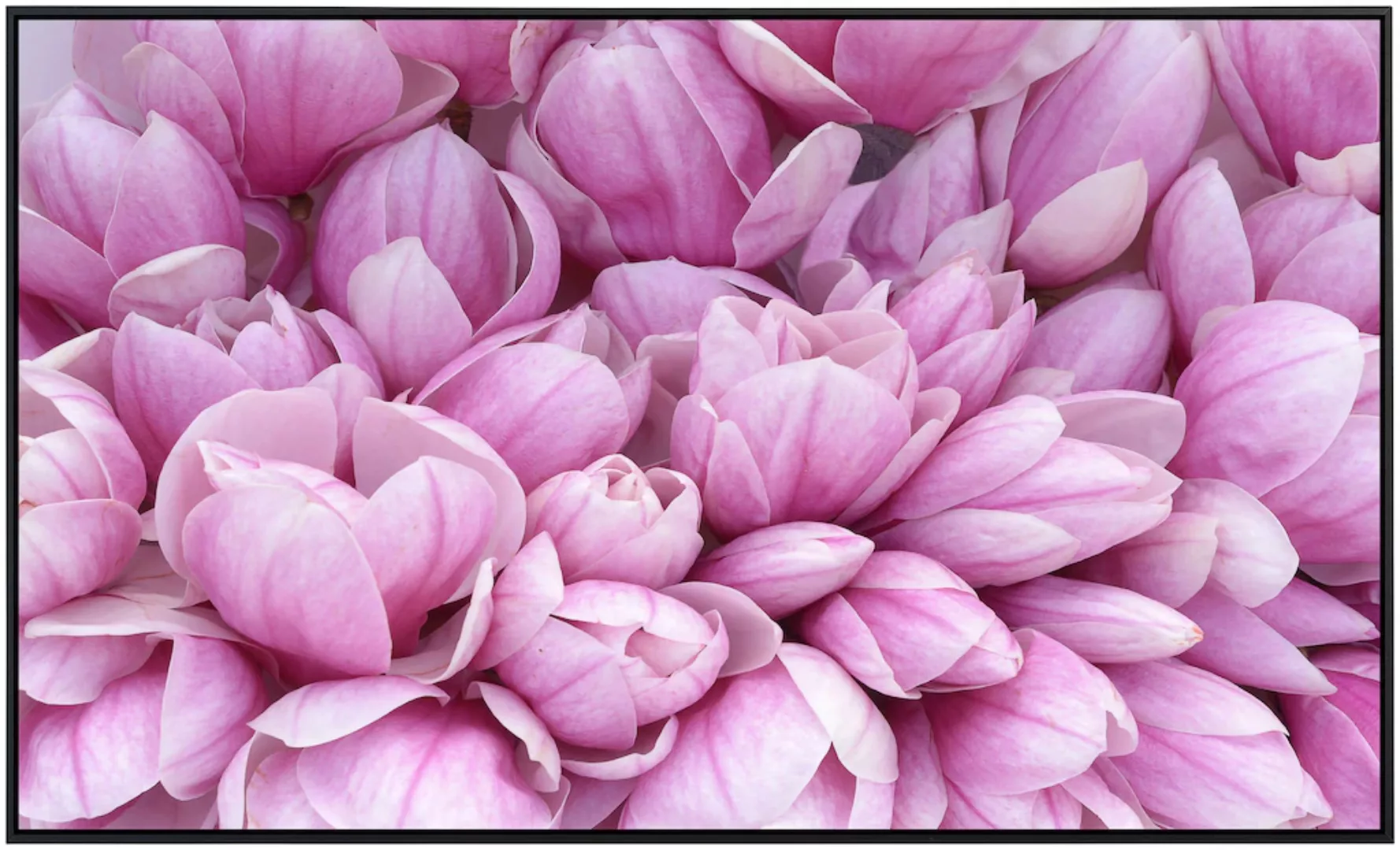 Papermoon Infrarotheizung »Rosa Magnolie«, sehr angenehme Strahlungswärme günstig online kaufen