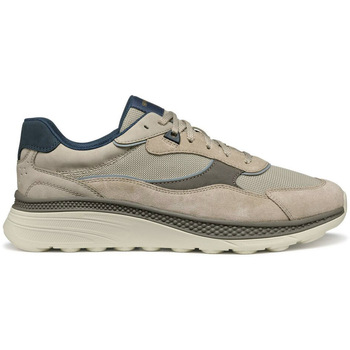 Geox  Sneaker U Spherica Actif X1 sneaker günstig online kaufen