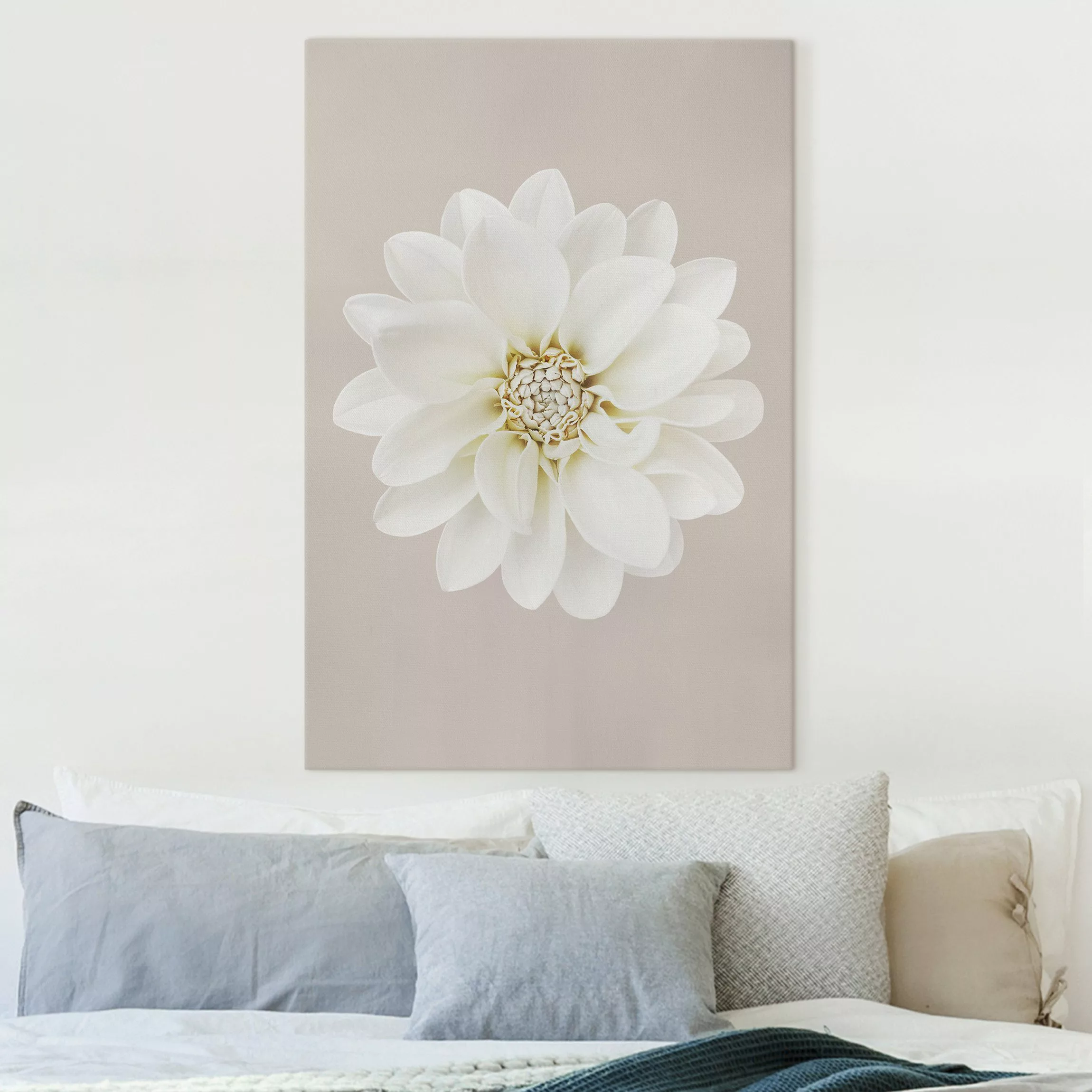 Leinwandbild Dahlie Weiß Taupe Pastell Zentriert günstig online kaufen
