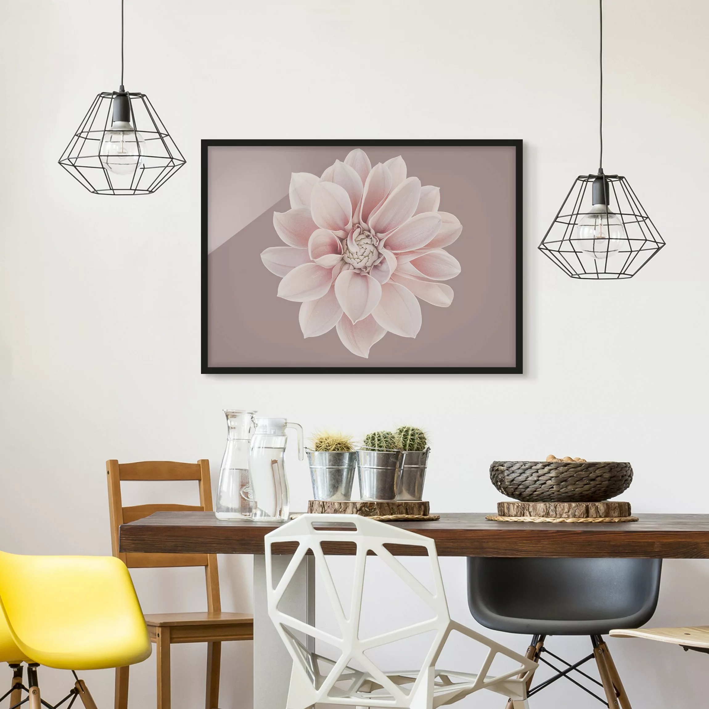 Bild mit Rahmen Dahlie Blume Lavendel Weiß Rosa günstig online kaufen