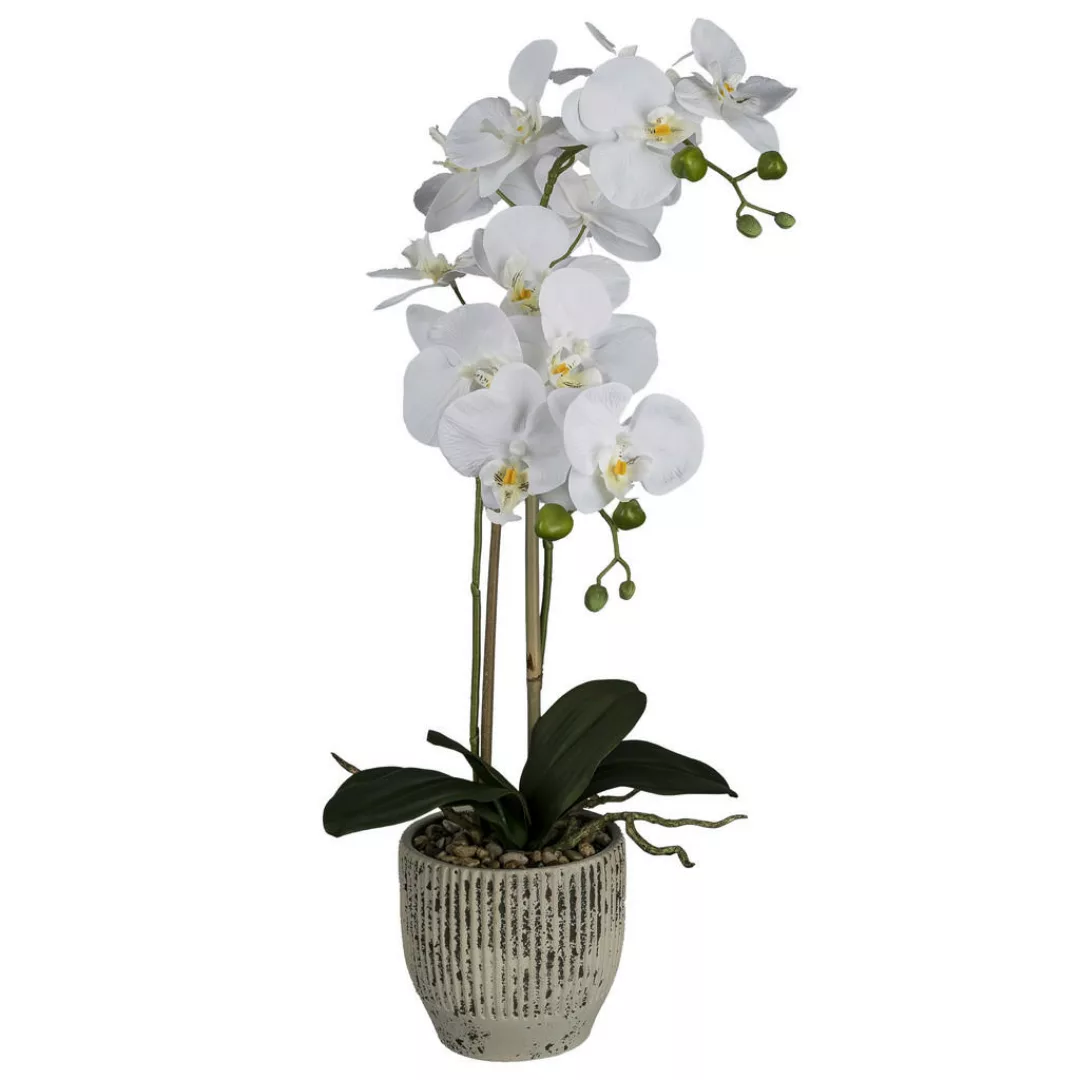 Kunstpflanze Phalaenopsis weiß Kunststoff B/H/L: ca. 17x55x17 cm günstig online kaufen