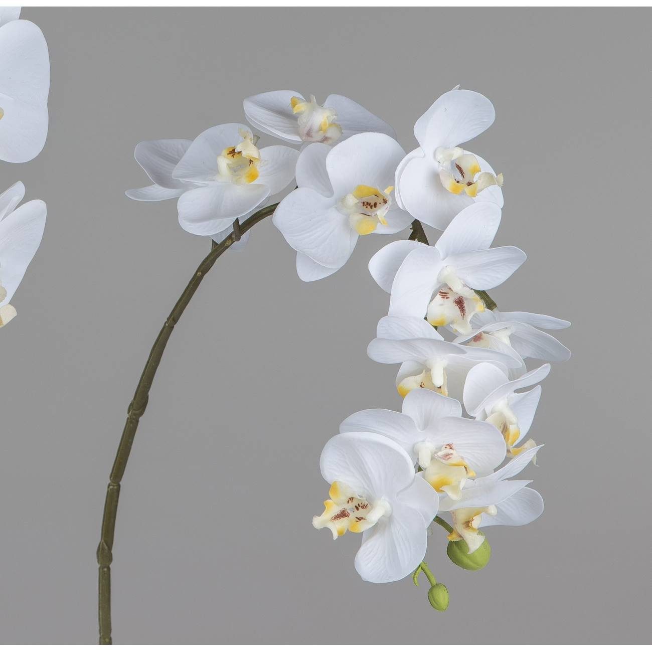 Kunstblume, formano, Höhe 56 cm, Weiß, günstig online kaufen