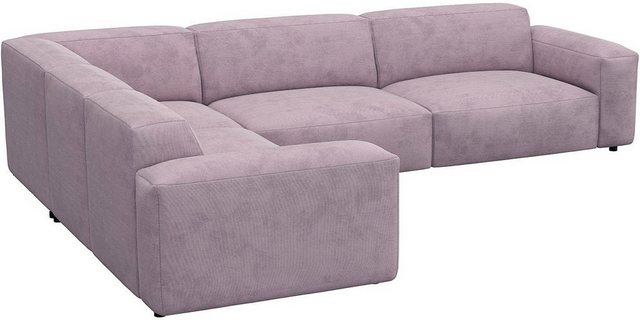 FLEXLUX Ecksofa "Lucera, super bequem durch hochwertigen Sitzaufbau mit Kal günstig online kaufen