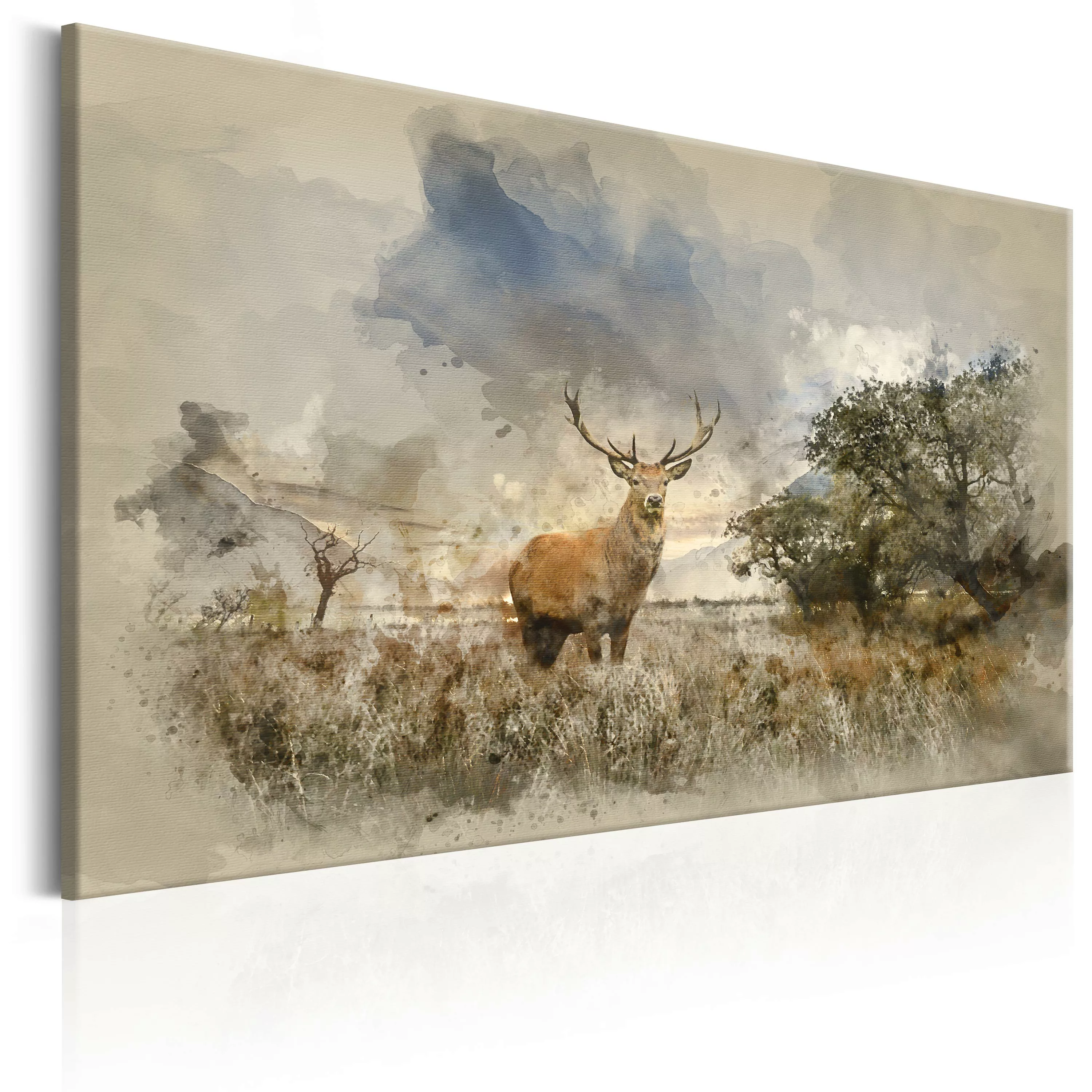 Wandbild - Deer In Field günstig online kaufen