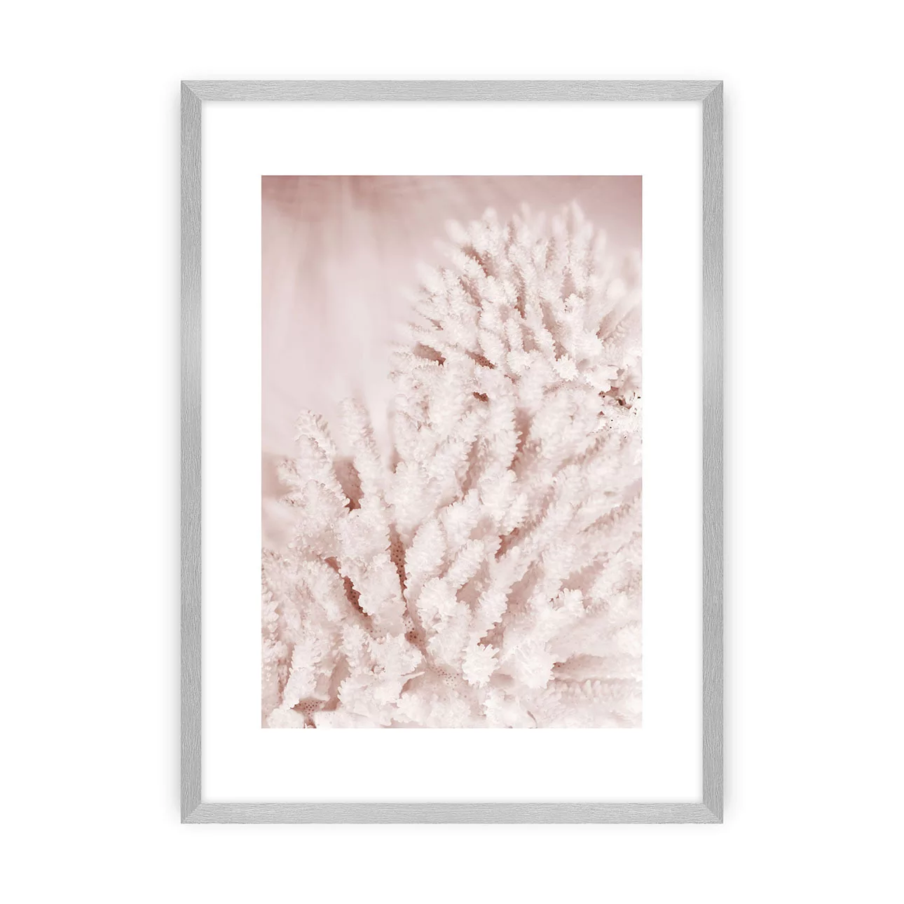 Poster Pastel Pink II, 50 x 70 cm, Rahmen wählen: silberner Rahmen günstig online kaufen
