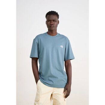 Dickies  T-Shirts & Poloshirts SUMMERDALE SS - DK0A4YA-G701 STORMY WEATHER günstig online kaufen