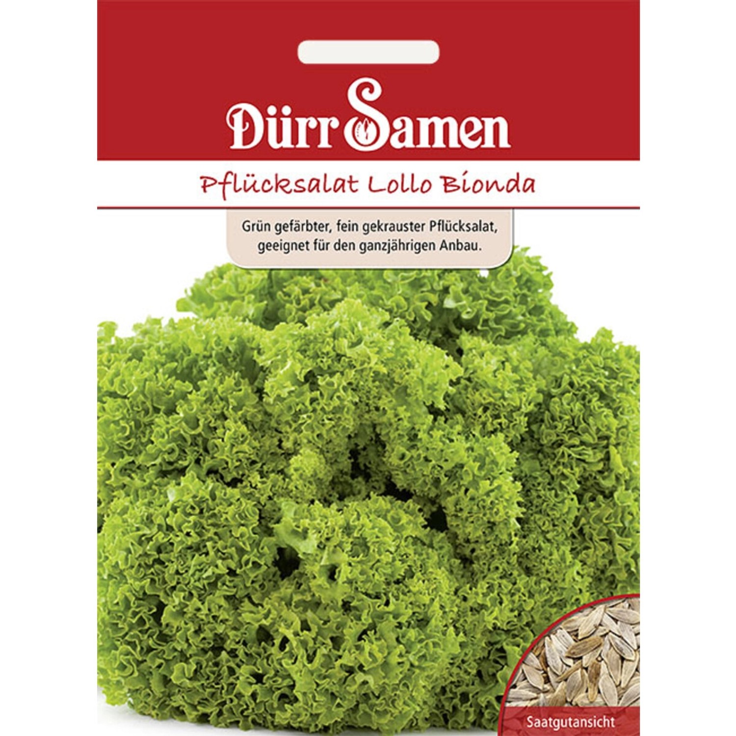 Dürr Samen Pflücksalat Lollo Bionda Saatgut günstig online kaufen