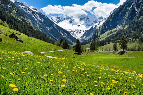 Papermoon Fototapete »ALPEN TIROL GEBIRGE« günstig online kaufen