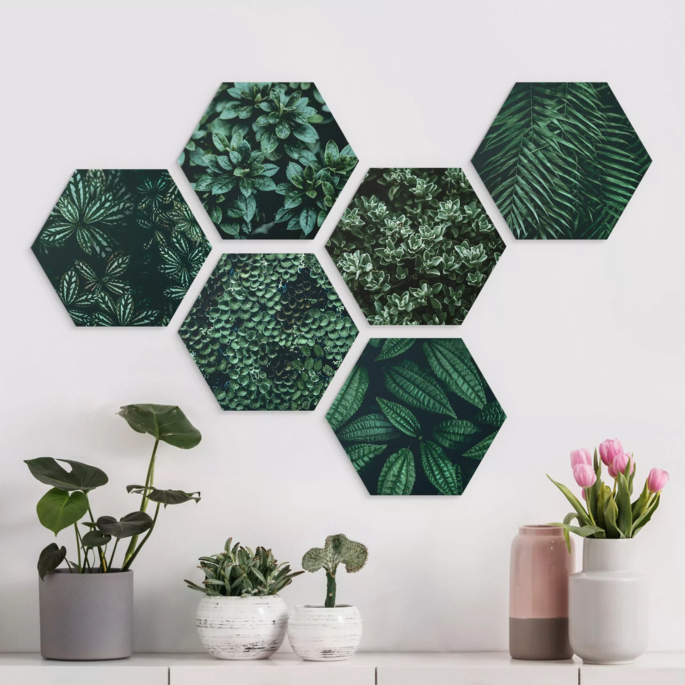 6-teiliges Hexagon-Alu-Dibond Bild Grüne Blätter Set II günstig online kaufen