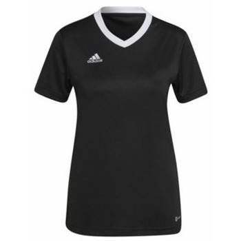 adidas  T-Shirt für Damen günstig online kaufen
