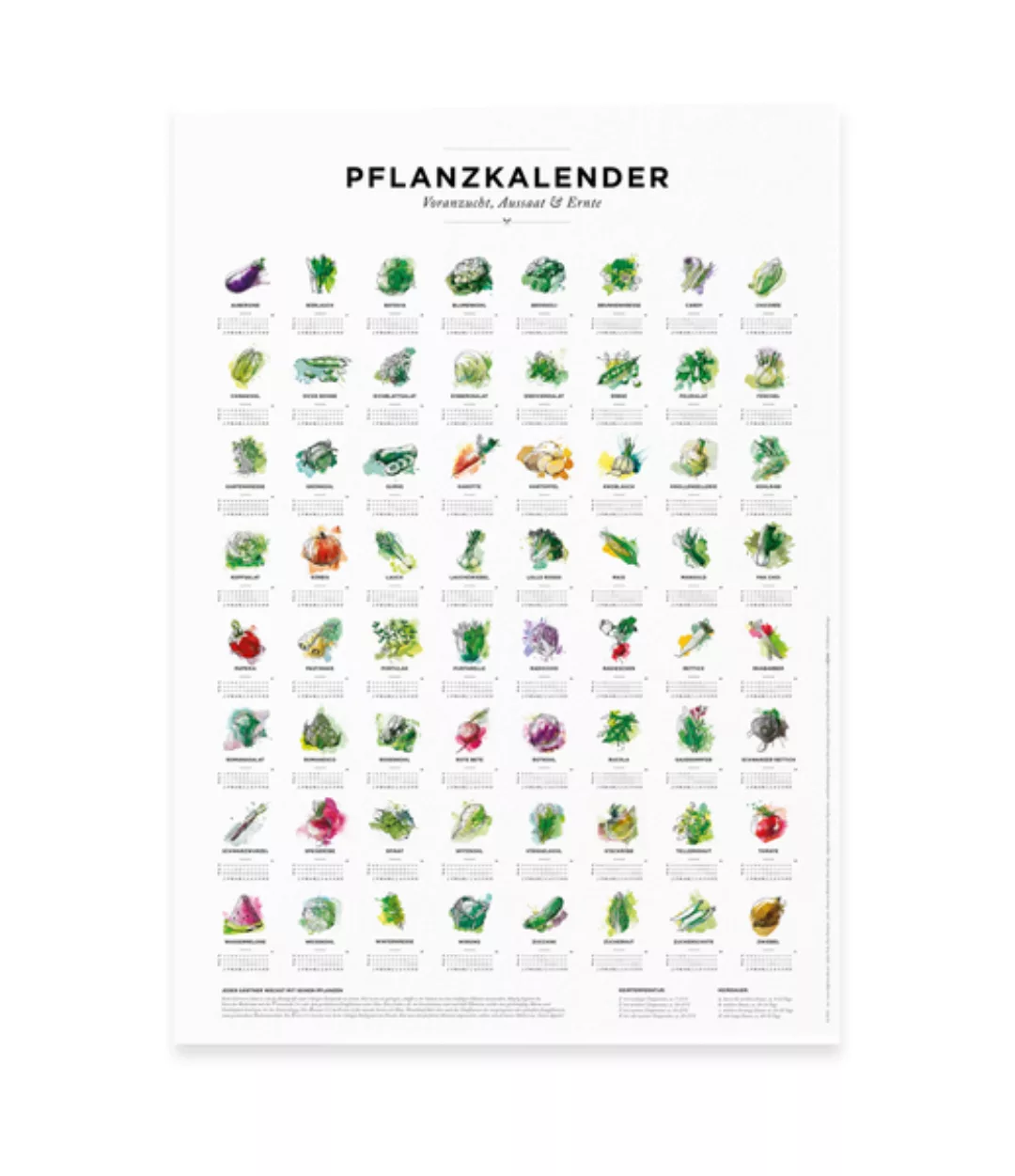 Pflanzkalender Und Aussaatkalender Für Den Garten Als Poster günstig online kaufen