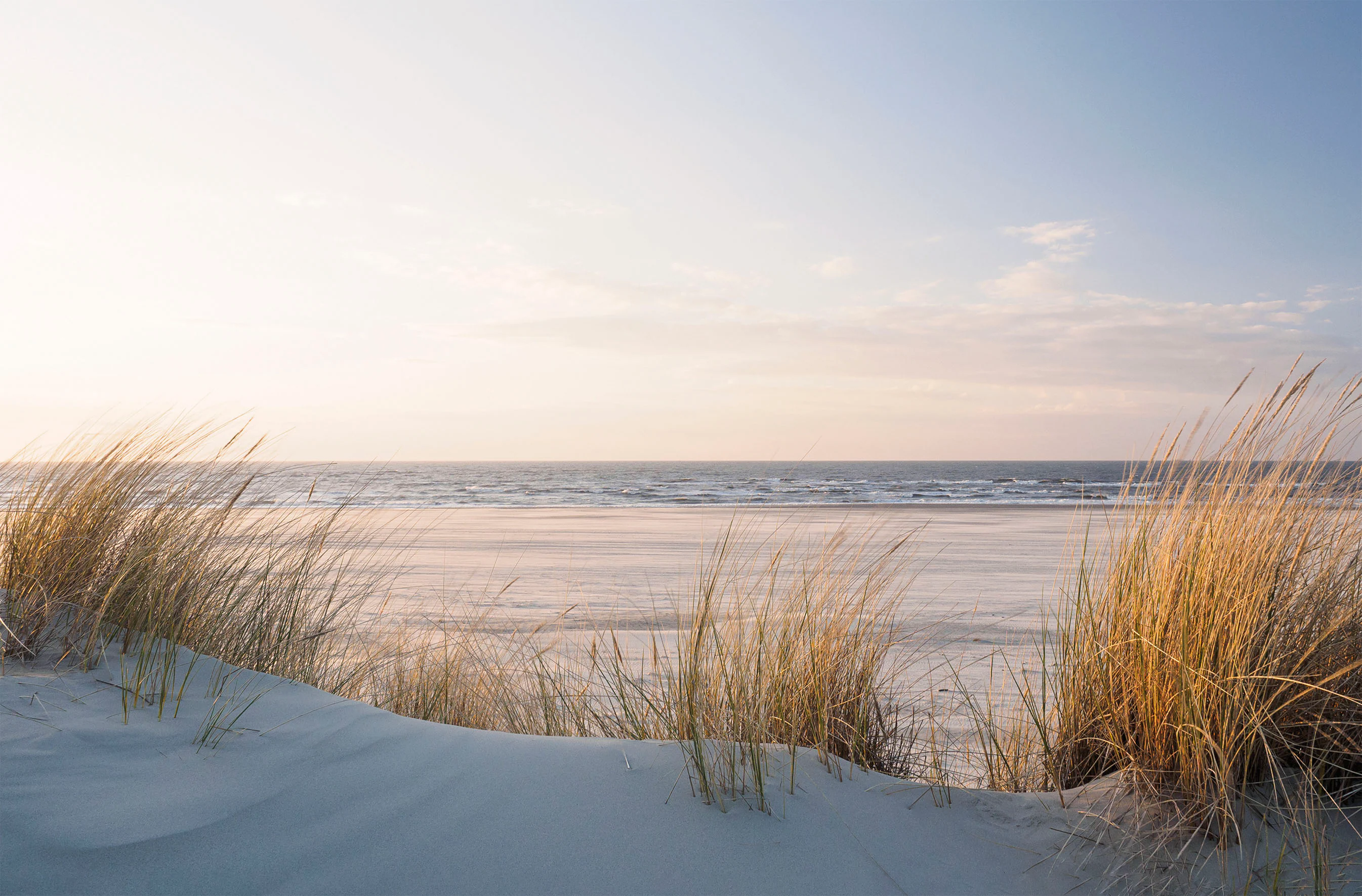 Bönninghoff Leinwandbild, Düne-Strand, (1 St.), BxH: 118x78 cm günstig online kaufen