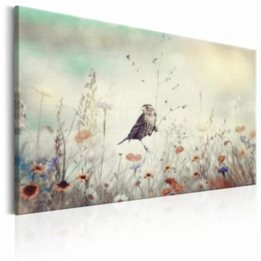 artgeist Wandbild Wild Meadow mehrfarbig Gr. 60 x 40 günstig online kaufen