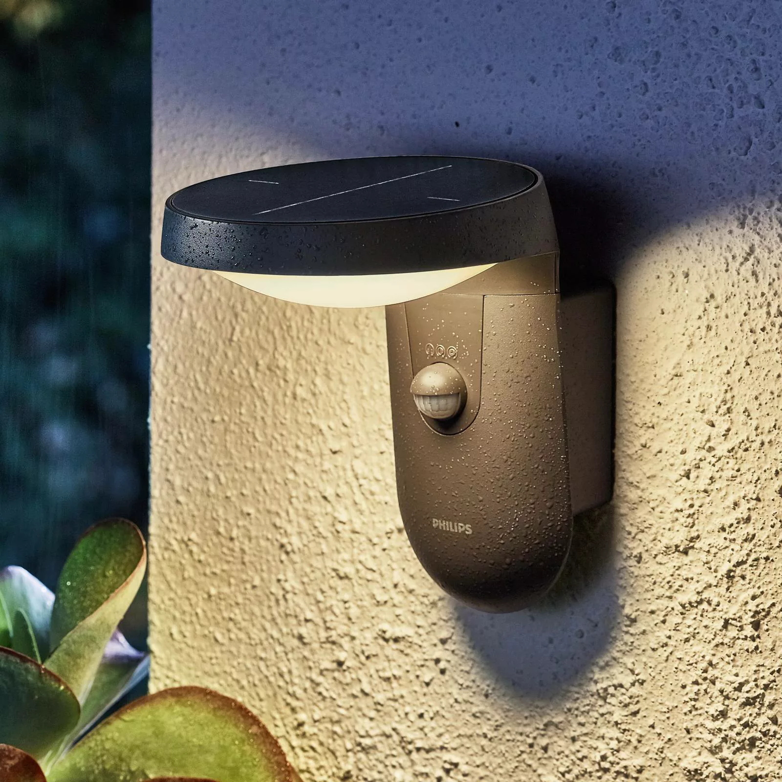 Philips Tyla Solarwandlampe IP44 Sensor 1,2W 250lm günstig online kaufen