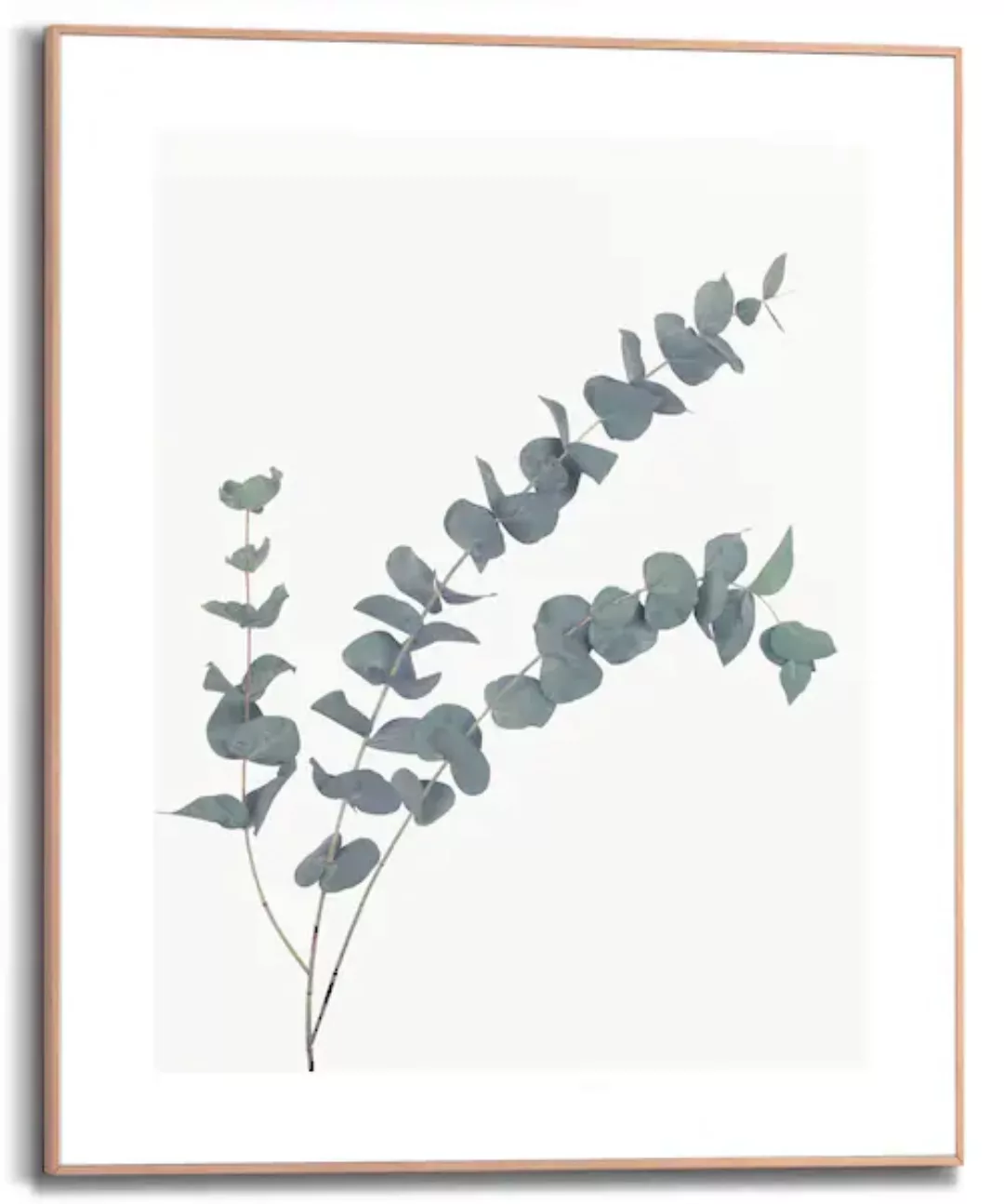 Reinders Bild mit Rahmen "Eucalyptus", (1 St.) günstig online kaufen