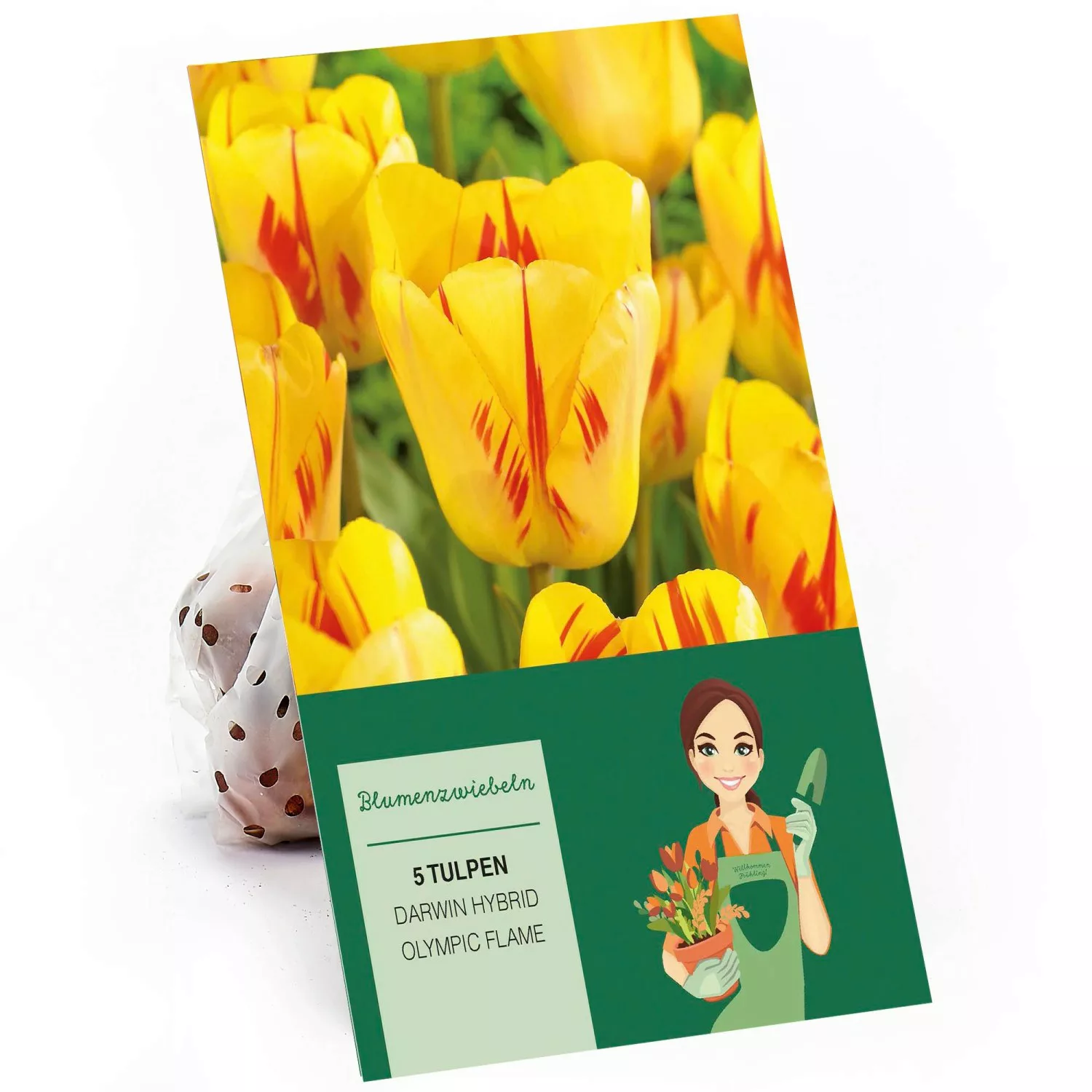 Tulpe Darwin Hybrid Olympic Flame Gelb-Rot 5 Stück Tulipa günstig online kaufen