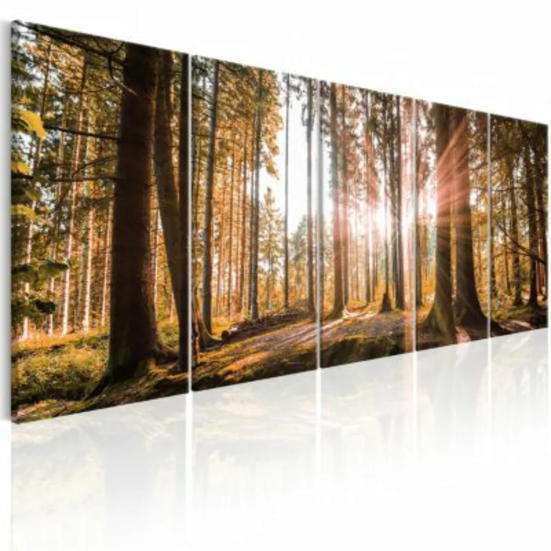 artgeist Wandbild Beauty of Nature braun/orange Gr. 200 x 80 günstig online kaufen