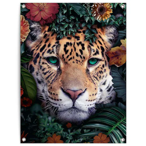 Reinders Poster "Leopard" günstig online kaufen