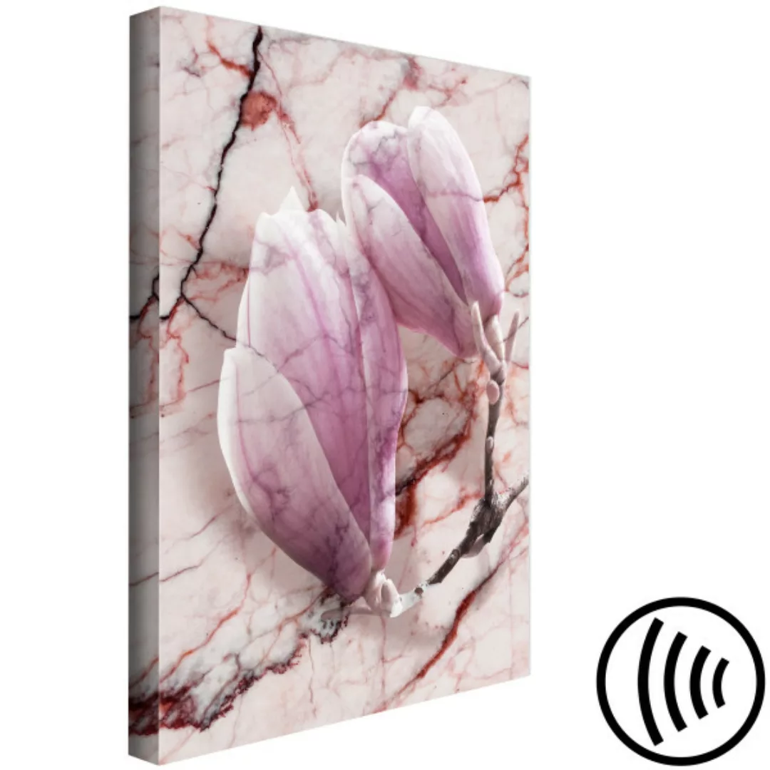 Wandbild Marmor-Subtilität - Magnolia-Blumen auf einem Marmorhintergrund XX günstig online kaufen