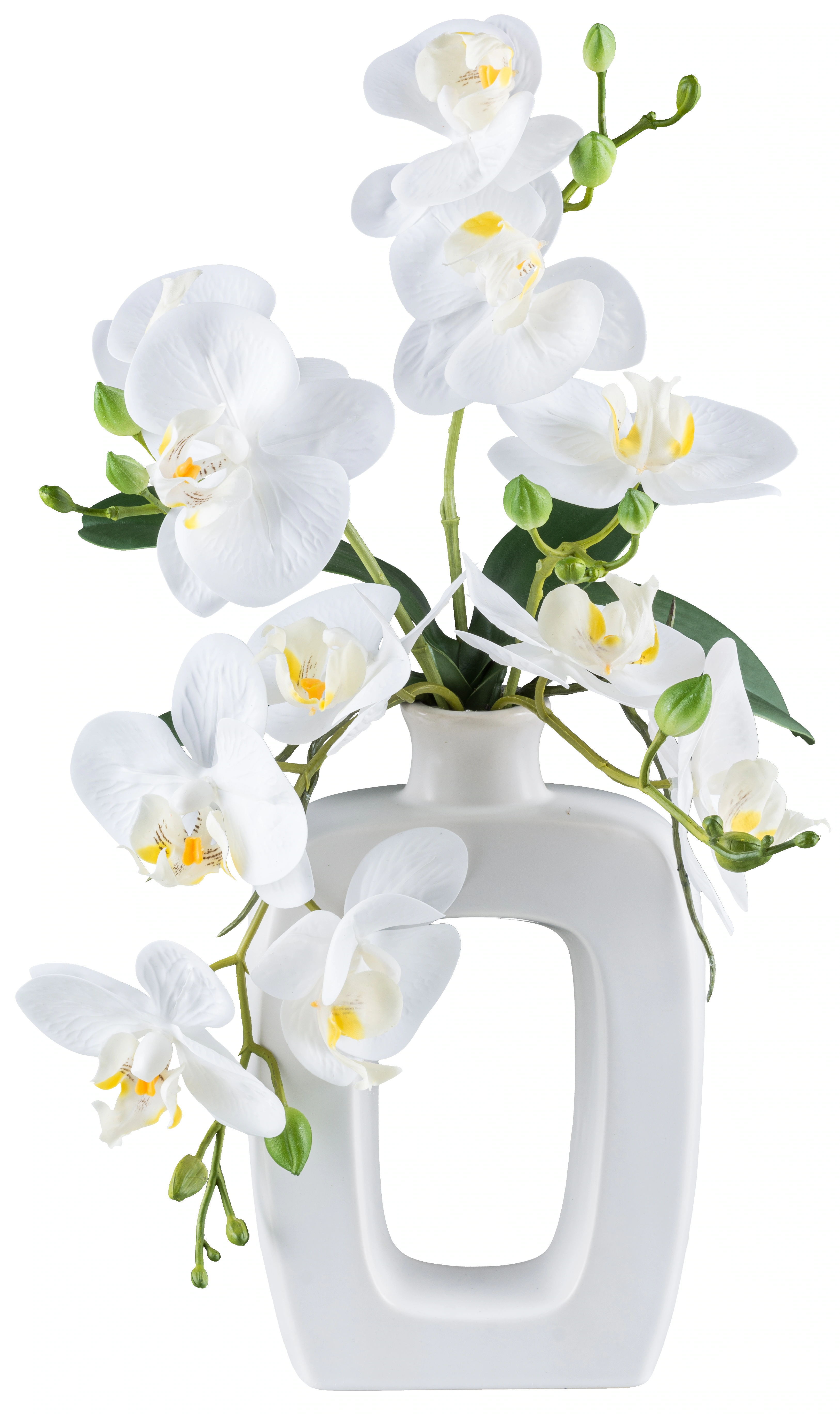 my home Kunstorchidee "Orchidee Phalaenopsis", mit real-touch-Blüten günstig online kaufen