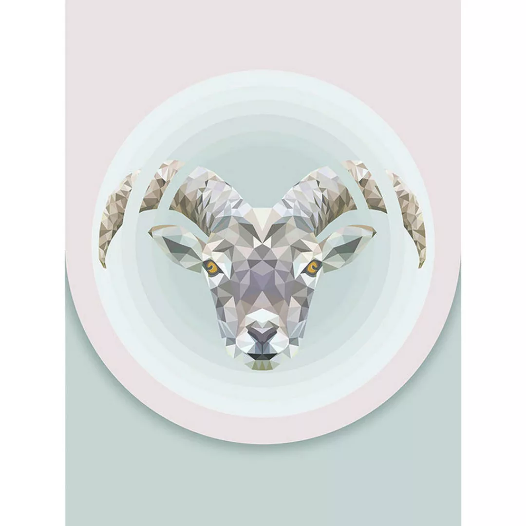 Komar Wandbild Capricorn Tiere B/L: ca. 30x40 cm günstig online kaufen
