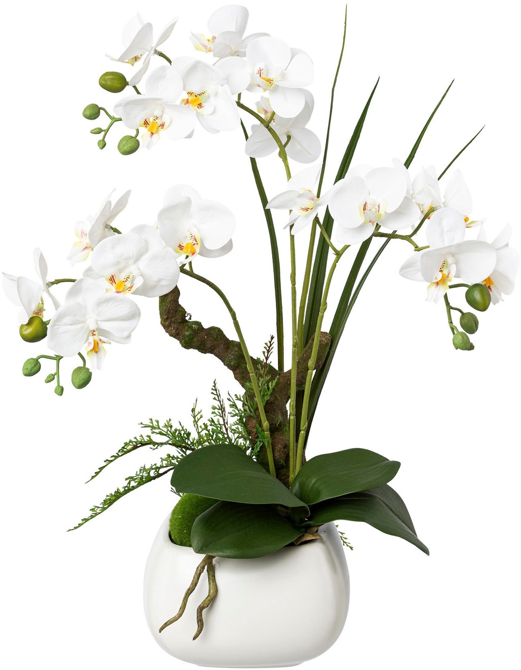 Creativ green Kunstorchidee "Deko-Orchidee Phalaenopsis im Keramiktopf" günstig online kaufen