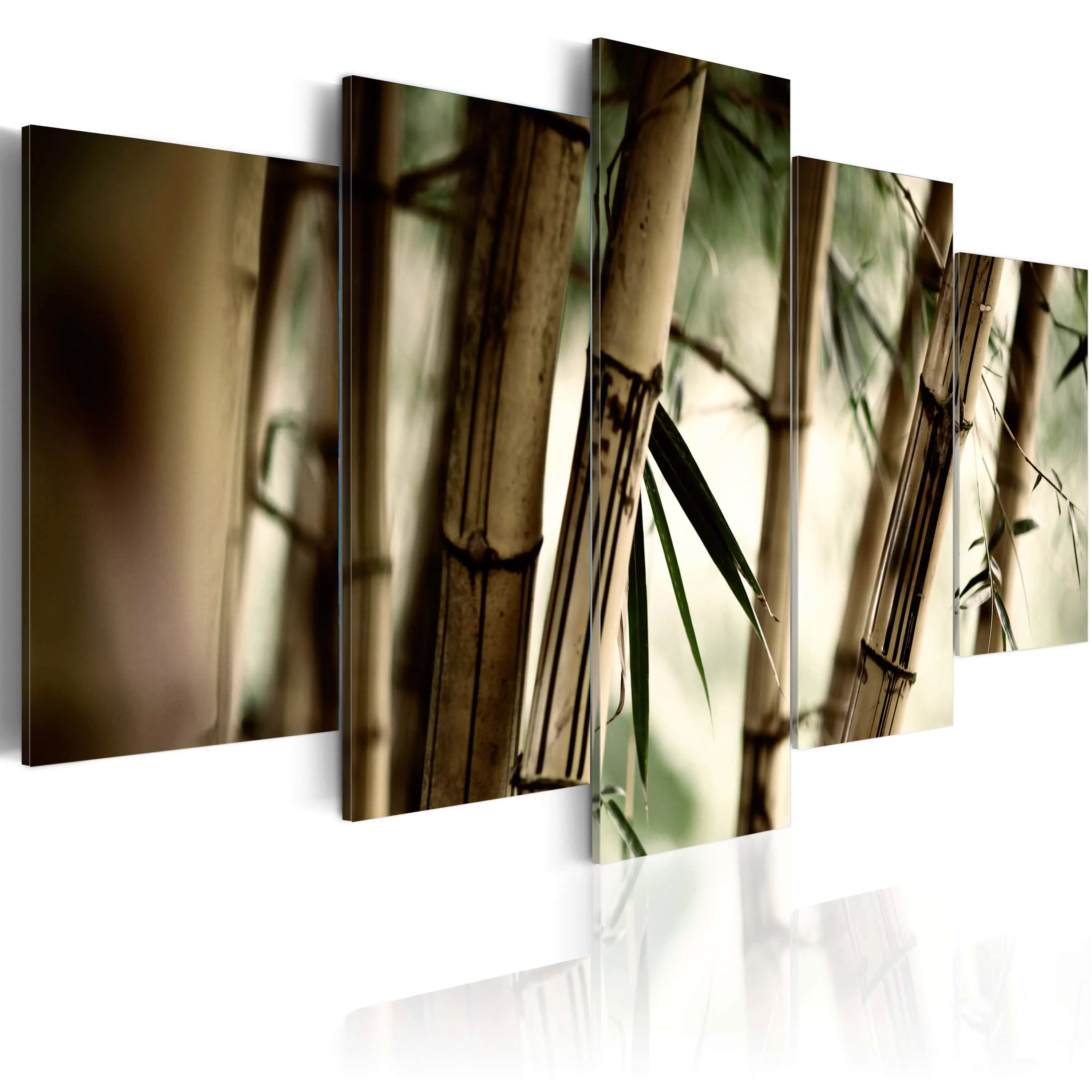 Wandbild - Bambus in tropischen Wäldern günstig online kaufen