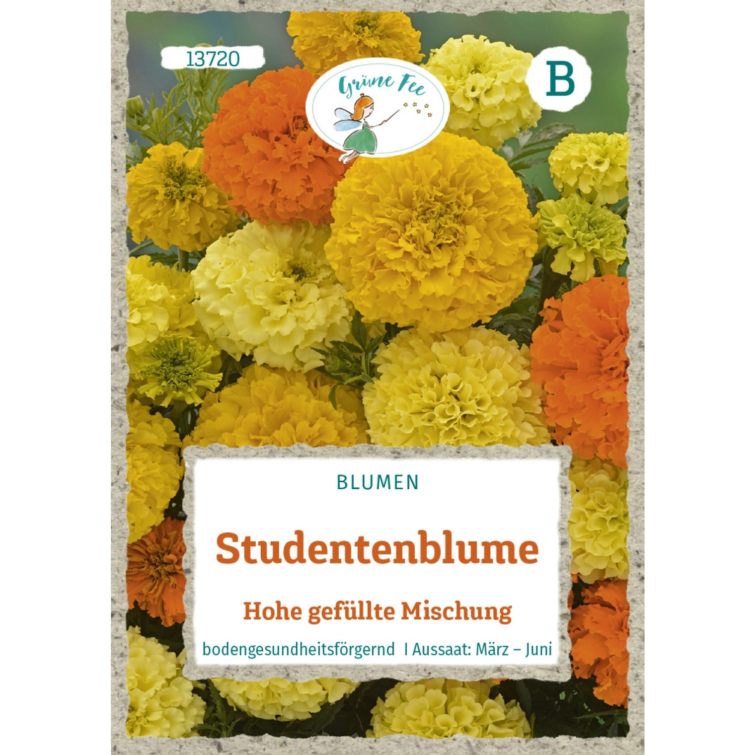 Grüne Fee Studentenblume Hohe Gefüllte Mischung Saatgut günstig online kaufen