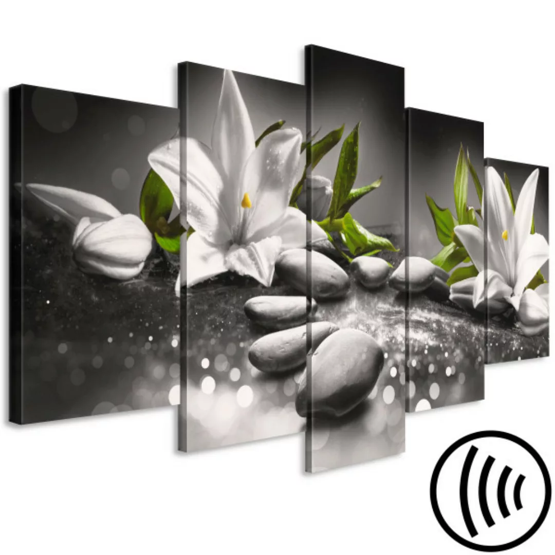 Wandbild Lilies and Stones (5 Parts) Wide Grey XXL günstig online kaufen